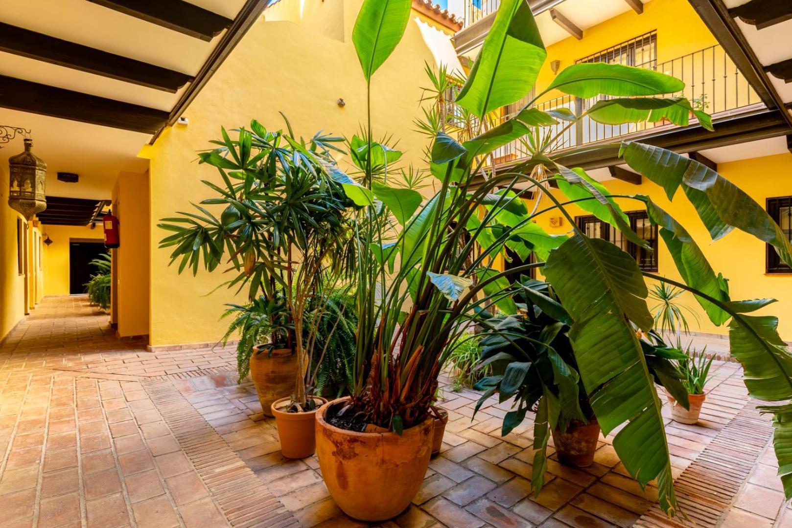 Loft En El Corral Del Horno Apartment เซบีญา ภายนอก รูปภาพ